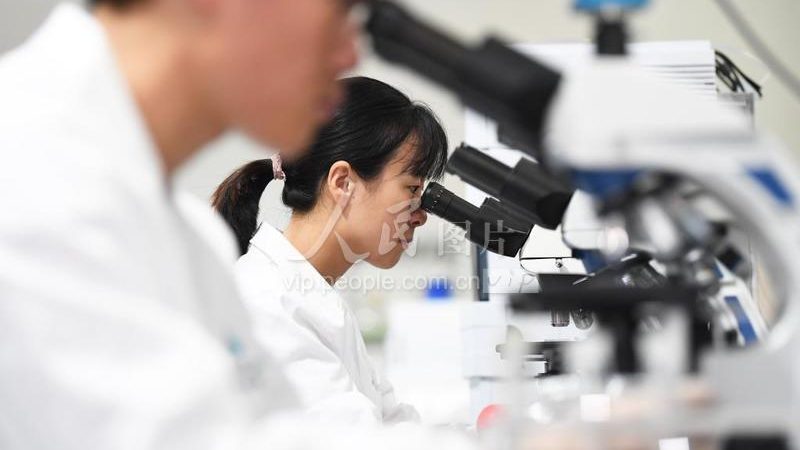 科研生物试剂标准物质：如何选择合适的报价**