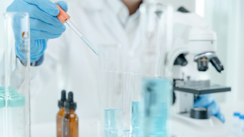 磷酸化抗体与总蛋白抗体：解析两者差异与选择要点