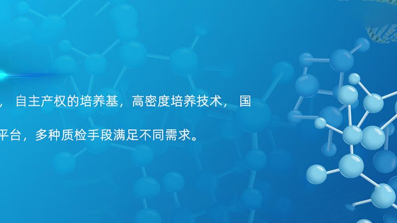 耐高温洗衣酶：如何挑选适合您的洗衣伴侣**
