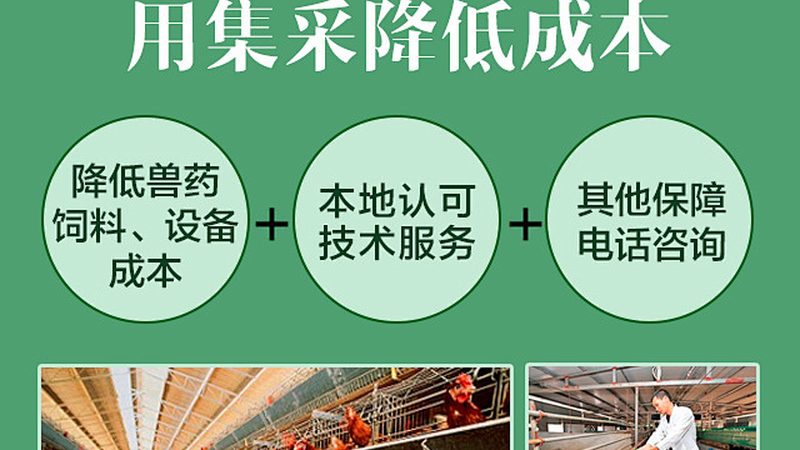 小分子CDMO技术转移流程：关键步骤与要点解析**