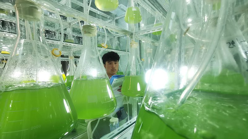 CDMO的质量管理体系和合规性是保障项目成功的重要保障。以下为评估要点：