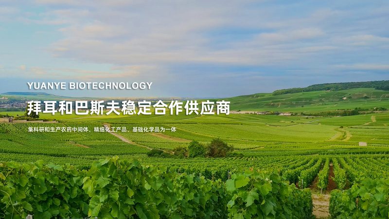区域代理是生物科技公司产品推广和销售的重要环节，其角色和职责主要包括：