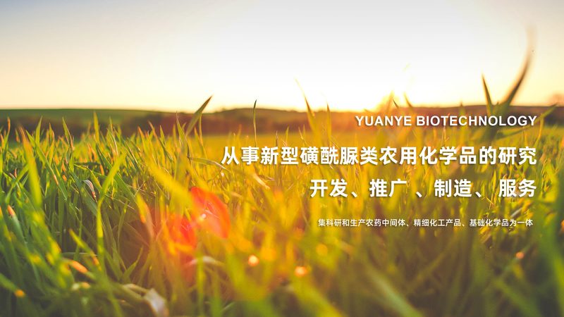 酶活性检测：精准评估，助力生物科技研发**