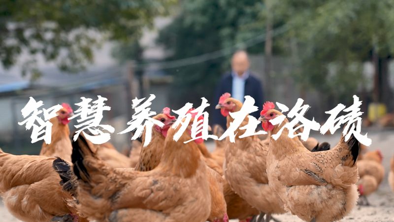 遗传病基因检测准确率对比